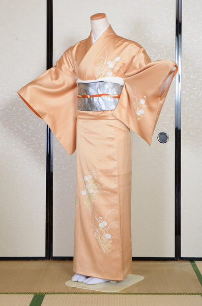 Japanese kimono 6 items set / TK #2-440
