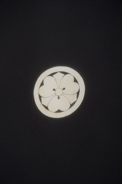 Jacket, kimono, hakama set / JKH #1-478