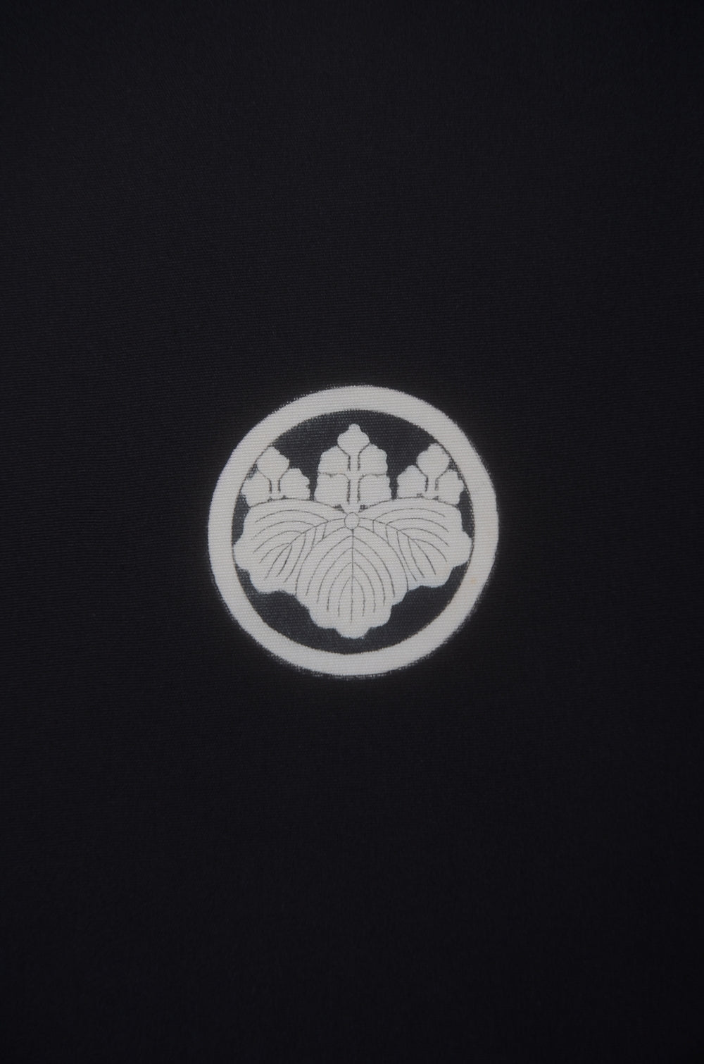 Jacket, kimono, hakama set / JKH #1-481