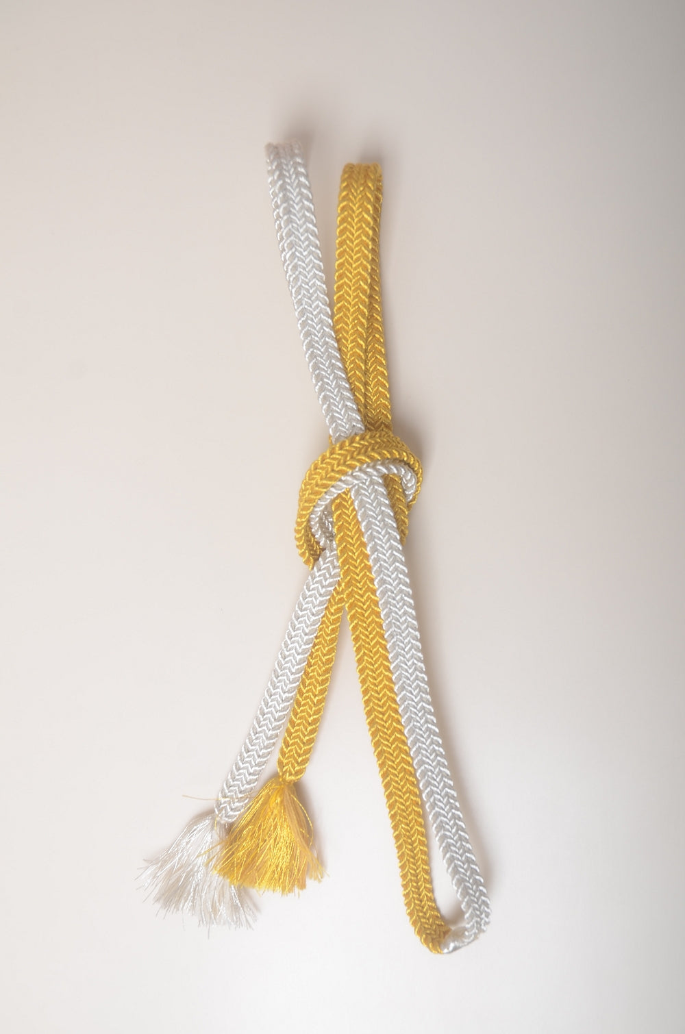 Long-sleeved kimono 6 items set / Furisode / FK#1-973