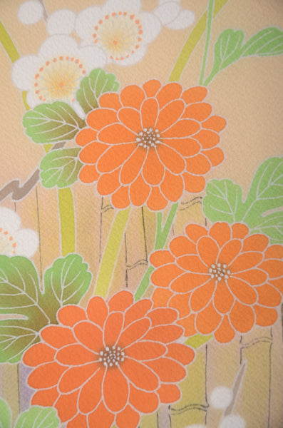 Japanese kimono 6 items set / TK #2-211