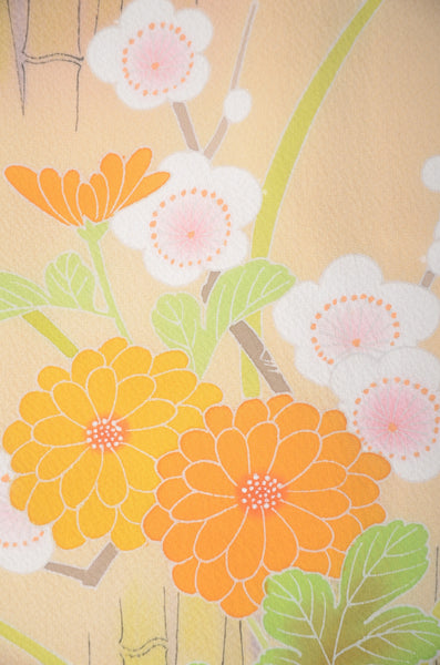 Japanese kimono 6 items set / TK #2-211