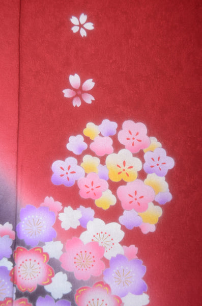 Long-sleeved kimono 6 items set / Furisode / FK#2-169