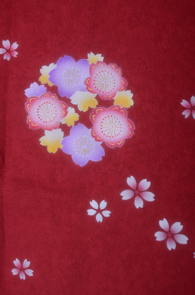 Long-sleeved kimono 6 items set / Furisode / FK#2-169