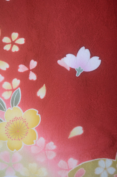 Long-sleeved kimono 6 items set / Furisode / FK#2-171