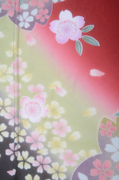 Long-sleeved kimono 6 items set / Furisode / FK#2-171