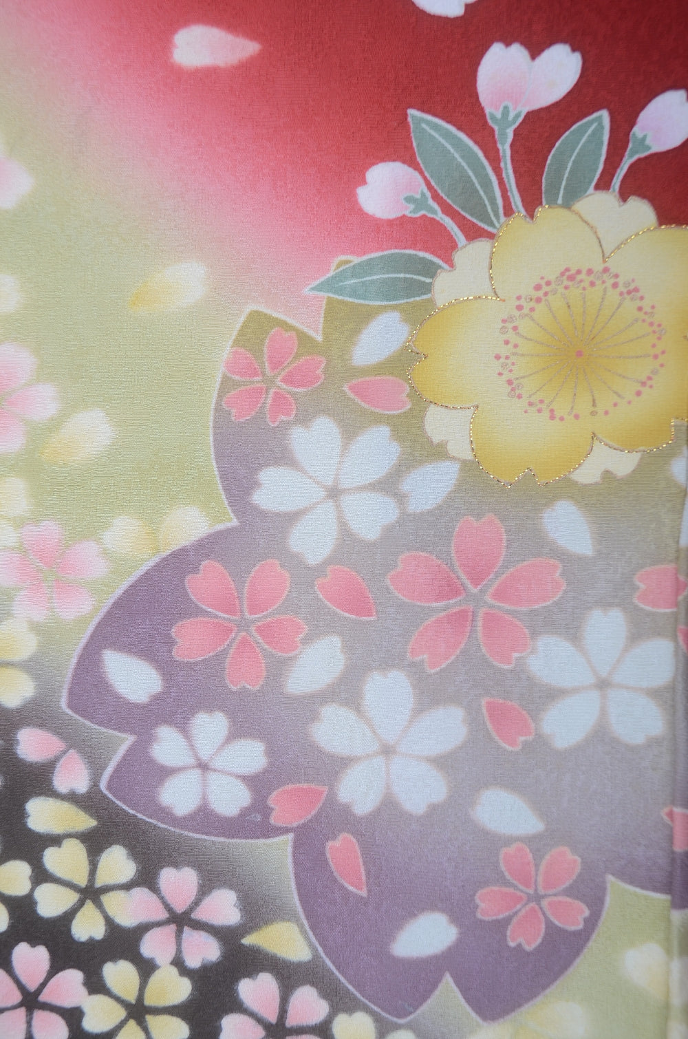 Long-sleeved kimono 6 items set / Furisode / FK#2-171