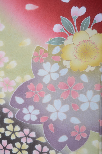 Long-sleeved kimono 6 items set / Furisode / FK#2-171