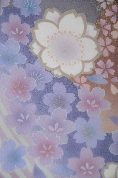 Long-sleeved kimono 6 items set / Furisode / FK#2-172