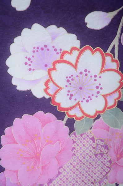 Long-sleeved kimono 6 items set / Furisode / FK#2-173