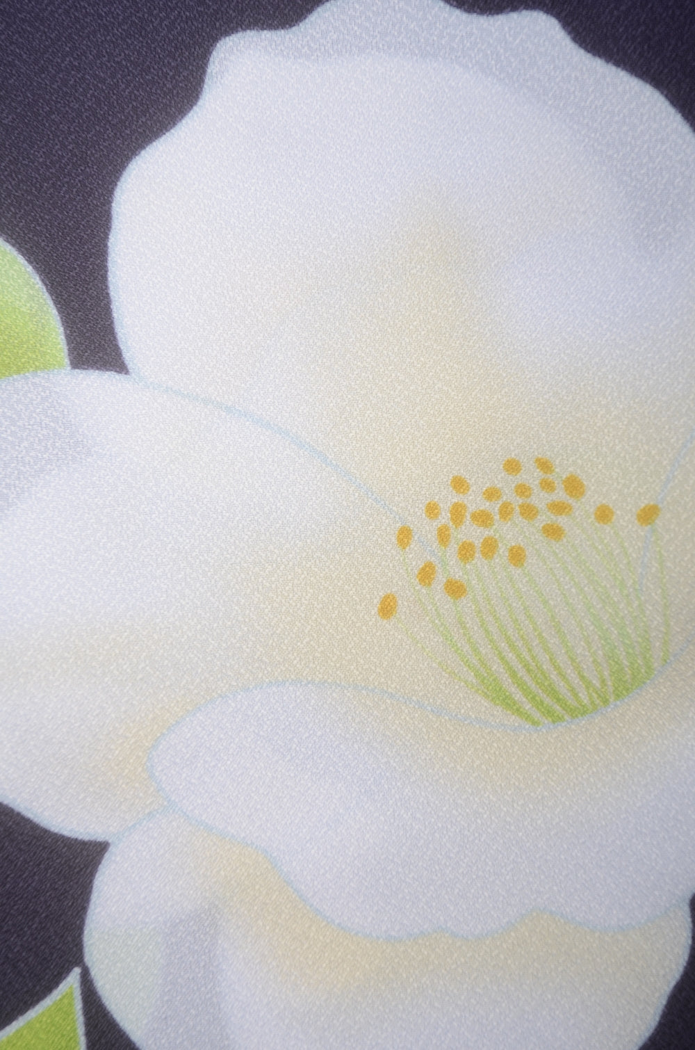 The first kimono set : FS #239