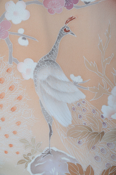 Japanese kimono 6 items set / TK #2-394