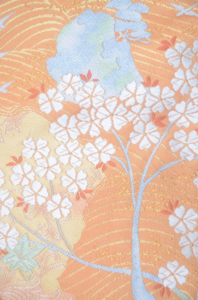 Long-sleeved kimono 6 items set / Furisode / FK#2-280