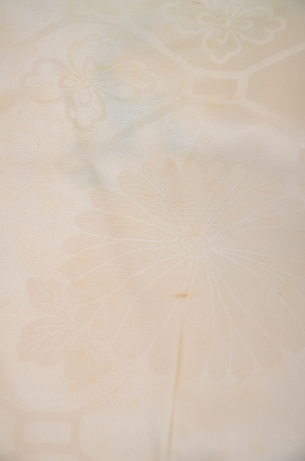 Women kimono jacket / W-Ha #2-487