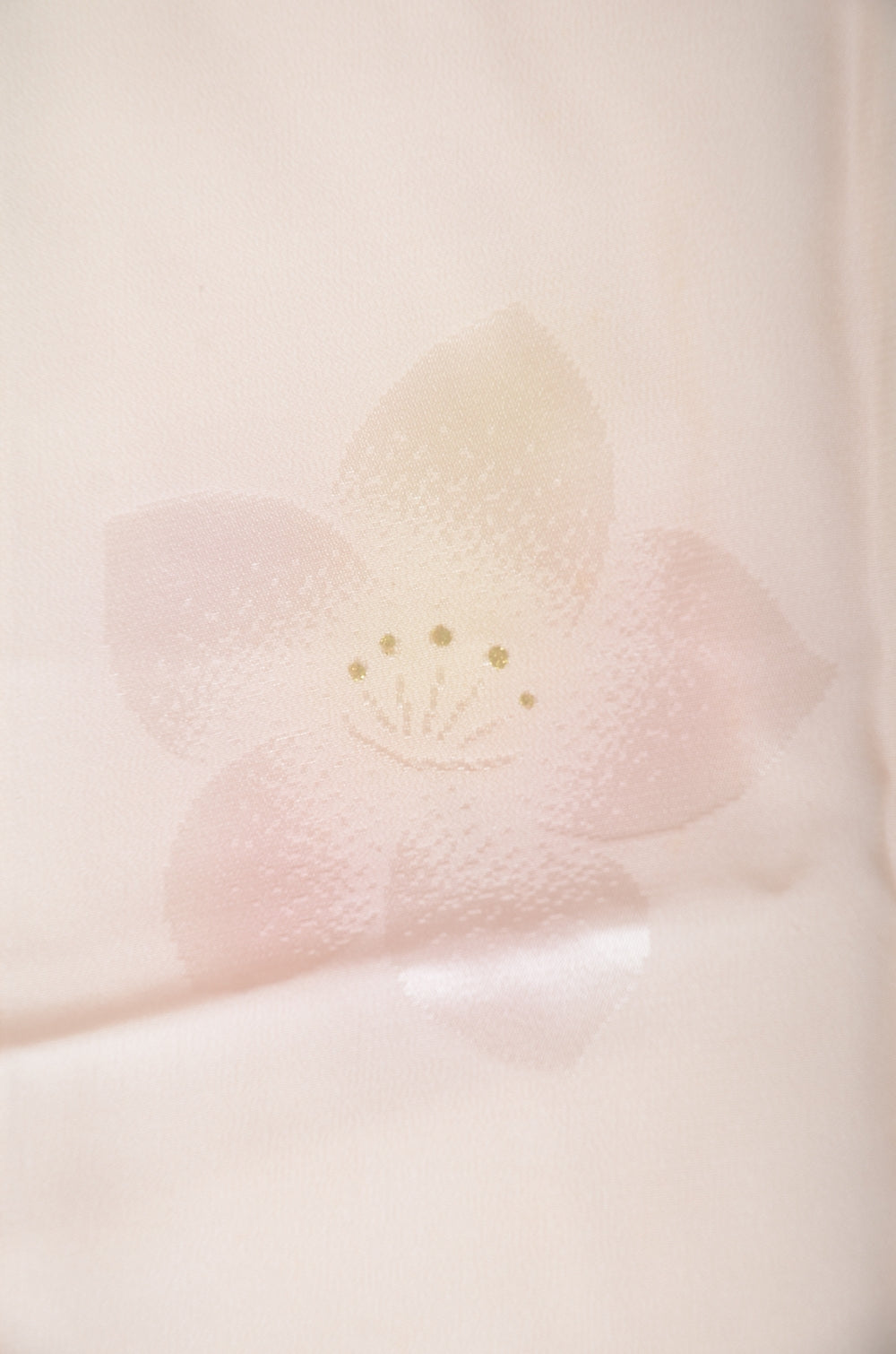 Women Undergarment / UF #552