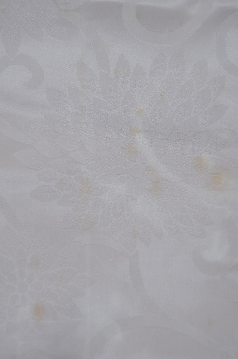 Women kimono jacket / W-Ha #2-545