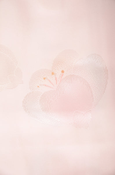 Women Undergarment / UF #587