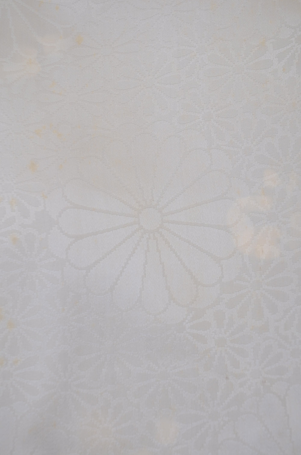 Women kimono jacket / W-Ha #2-566