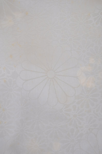 Women kimono jacket / W-Ha #2-566