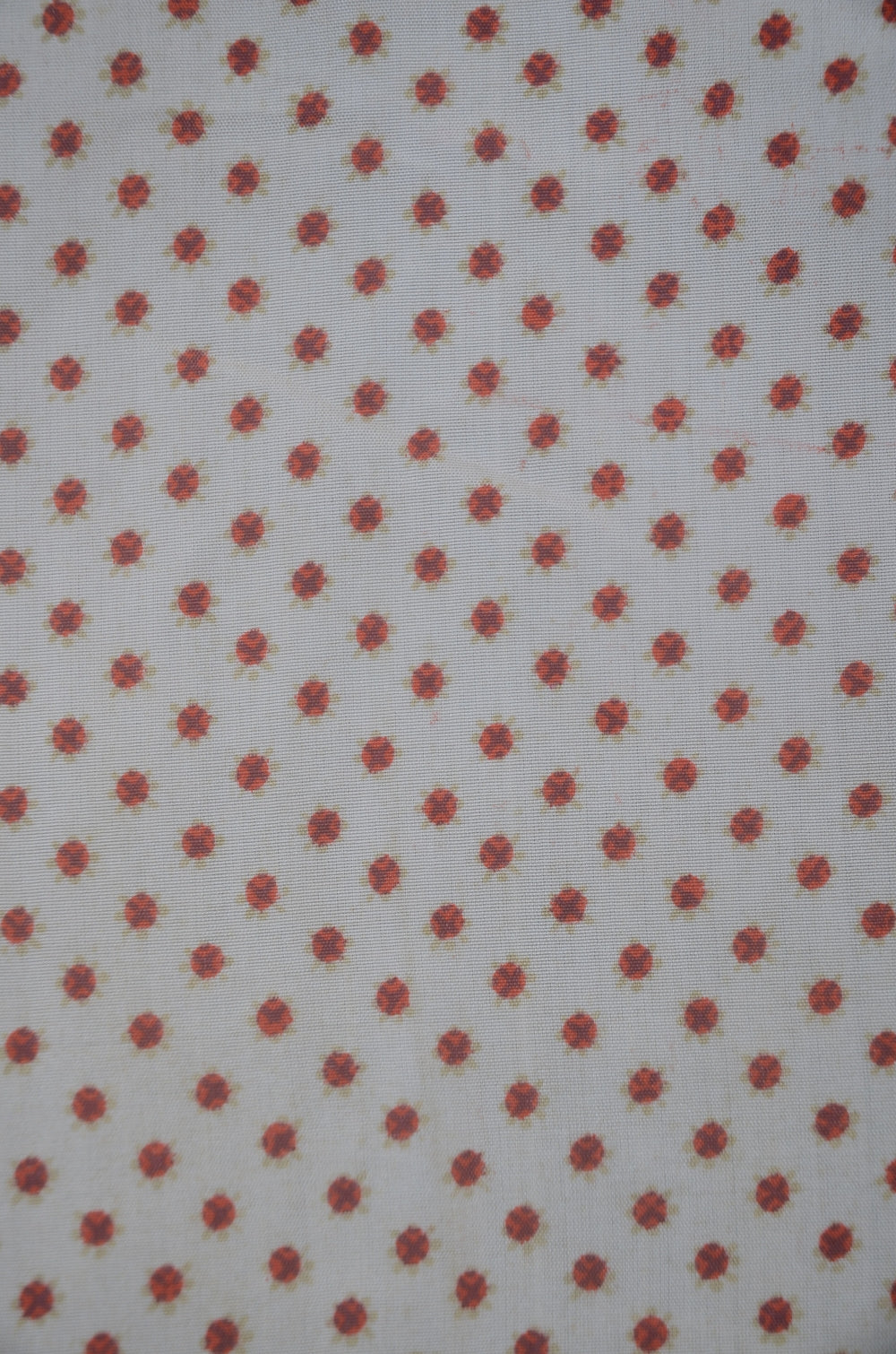 Women kimono jacket / W-Ha #2-571