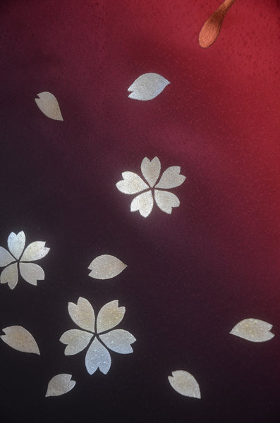 Long-sleeved kimono 6 items set / Furisode / FK#2-340