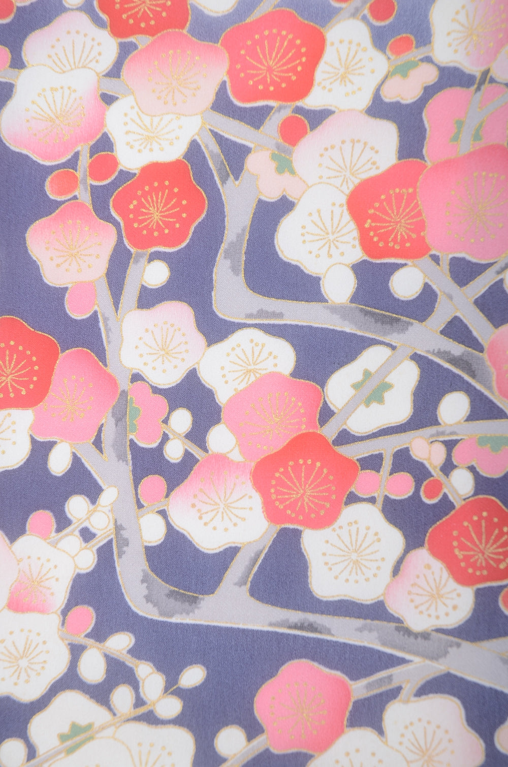 Long-sleeved kimono 6 items set / Furisode / FK#2-158