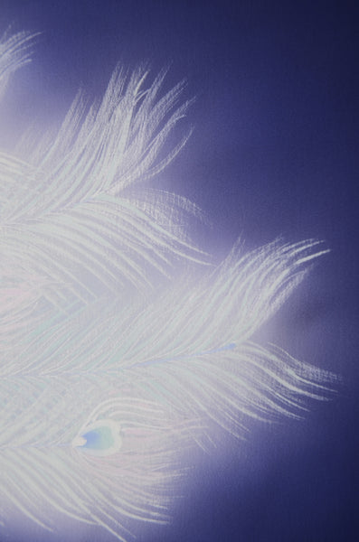 Japanese kimono / TK #2-448