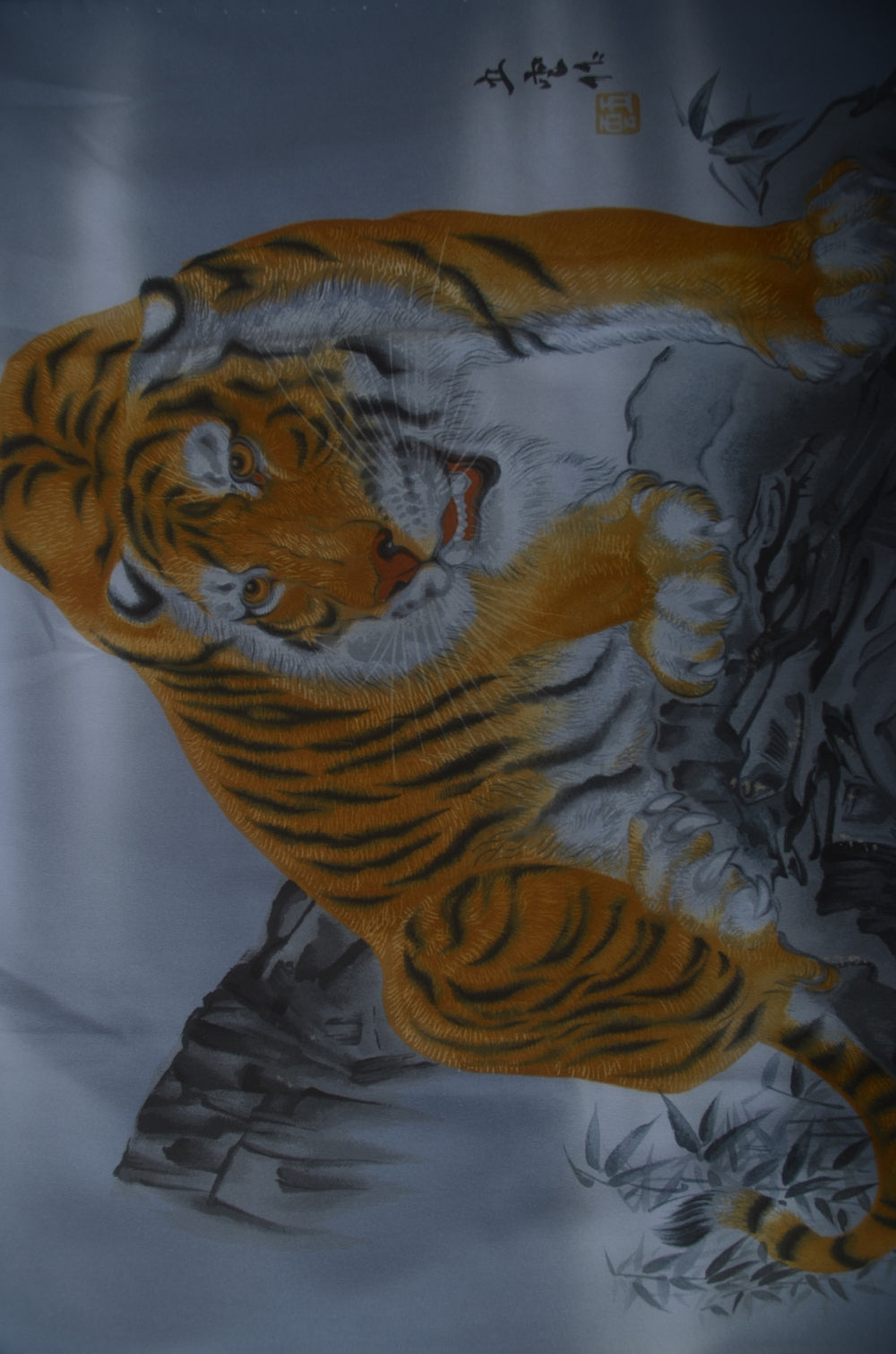 Men Undergarment / MU #869