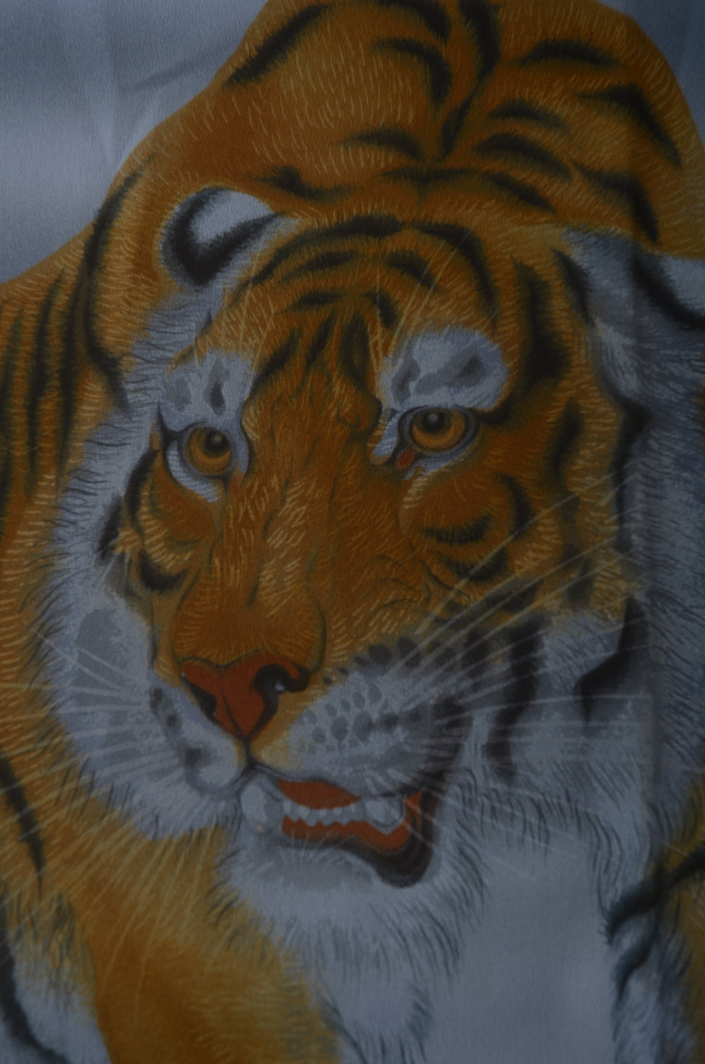 Men Undergarment / MU #869