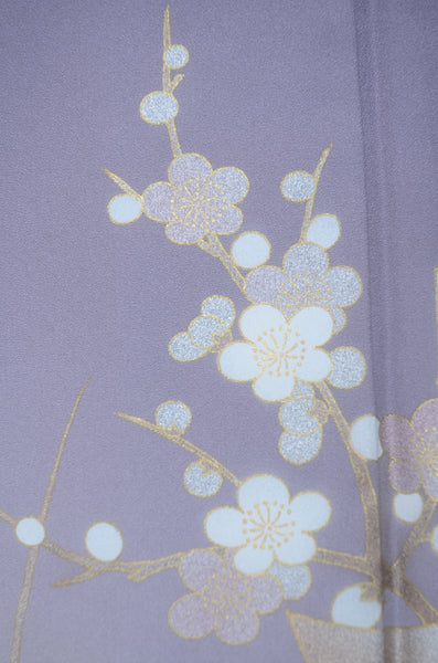 Japanese kimono 6 items set / TK #2-467