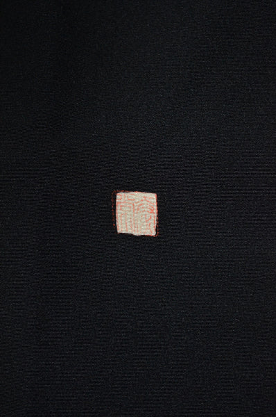 Japanese kimono / BK #900