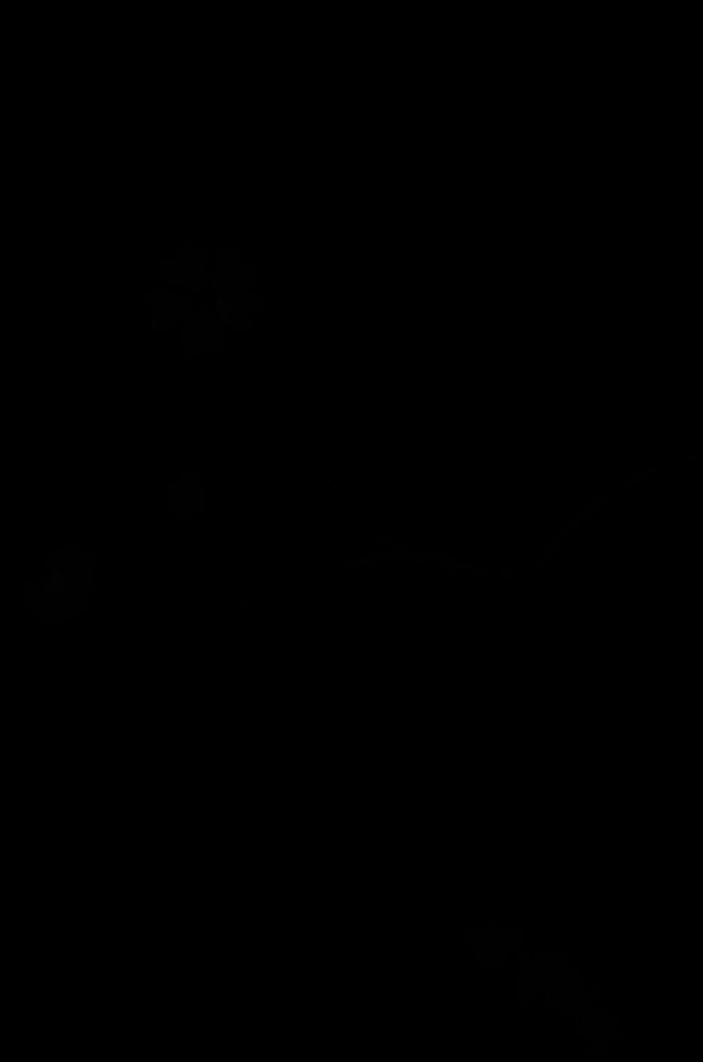 Long-sleeved kimono / Furisode / FK#2-191