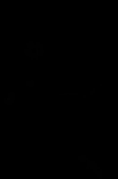 Long-sleeved kimono / Furisode / FK#2-191