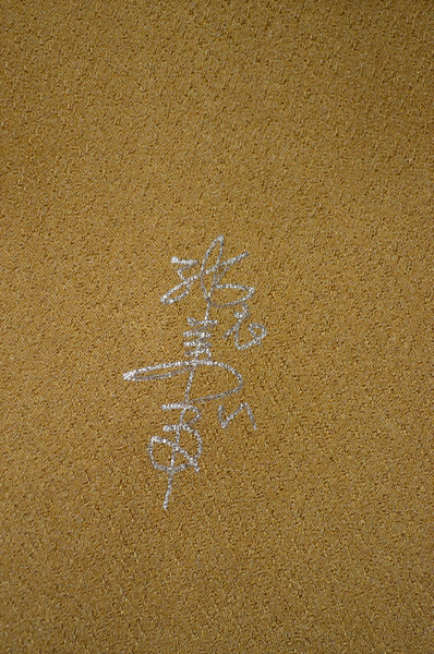 Long-sleeved kimono / Furisode / FK#2-196