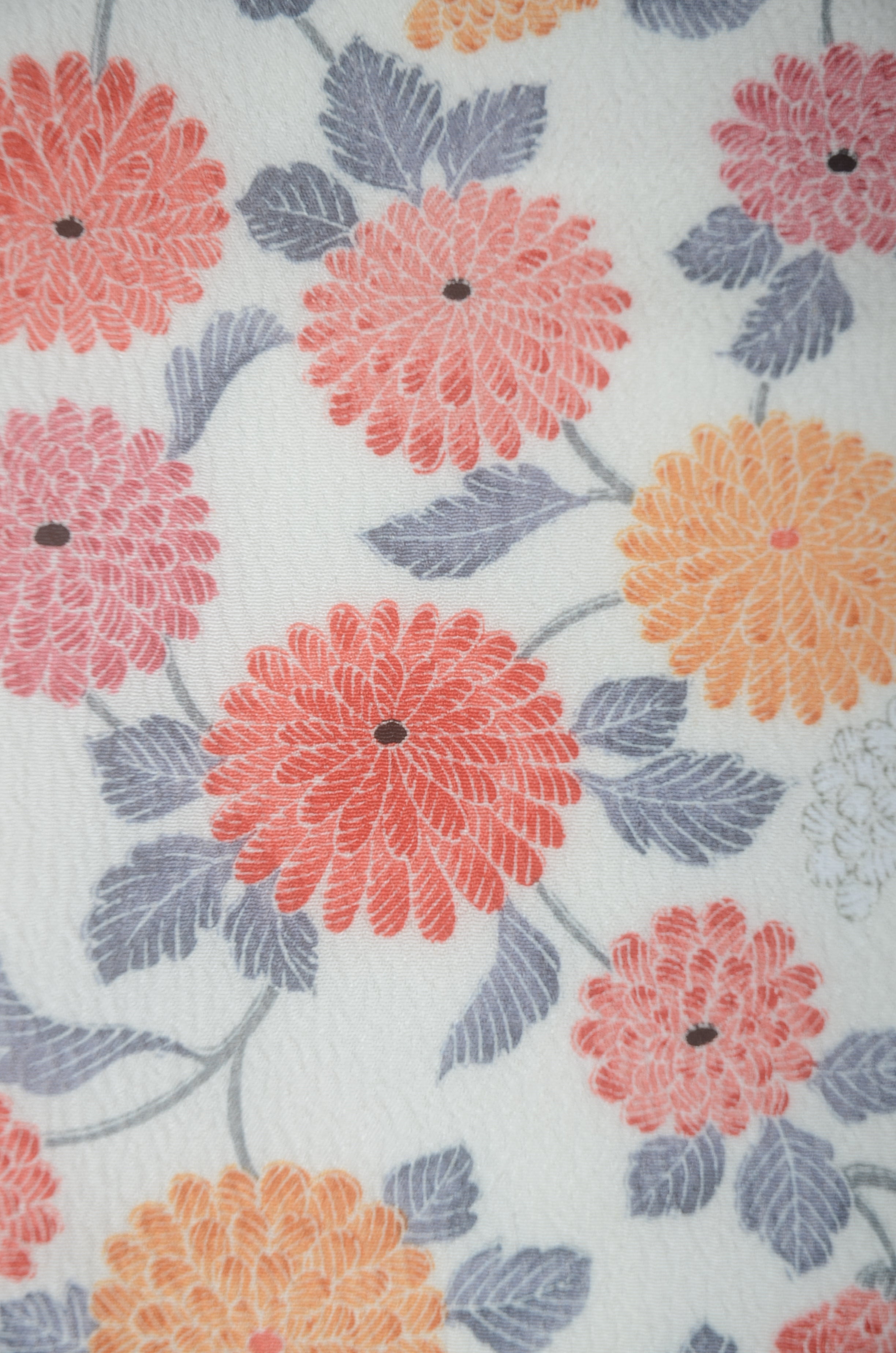 The first kimono set : FS #202