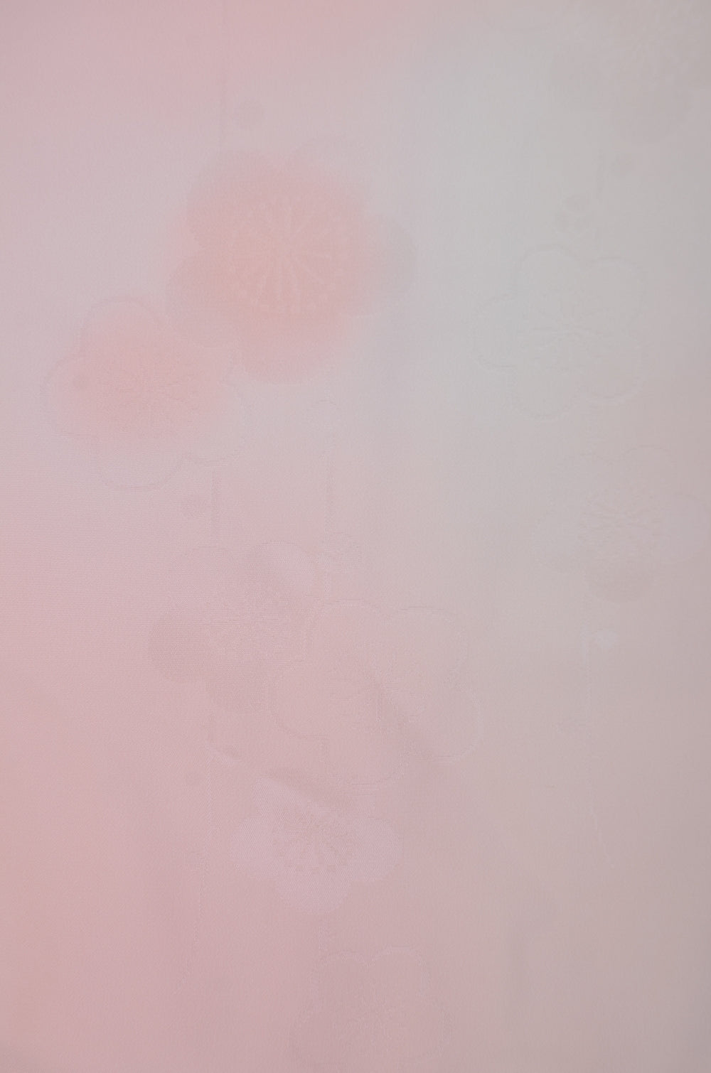 Women Undergarment / UF #800