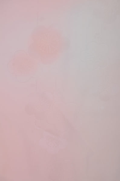 Women Undergarment / UF #800