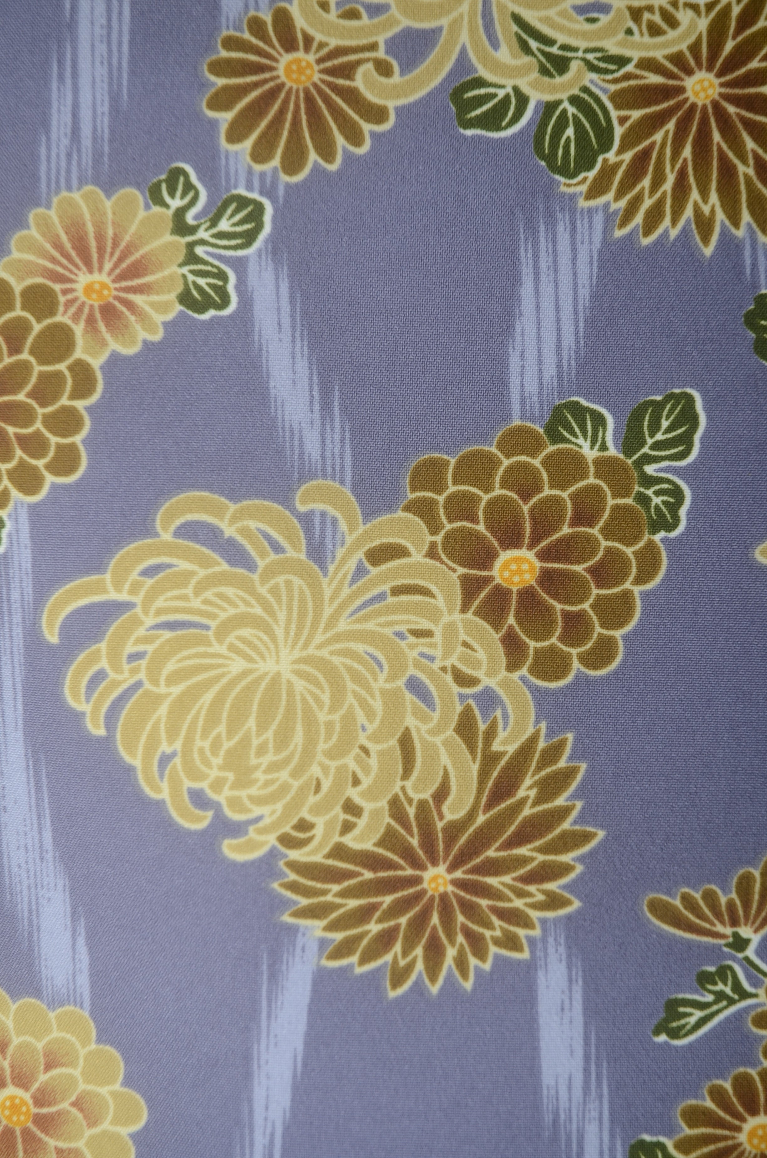 The first kimono set : FS #211