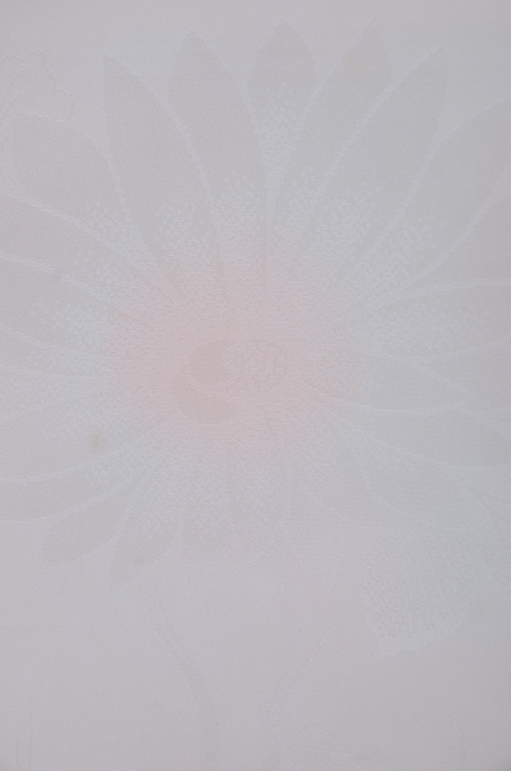 Women Undergarment / UF #820