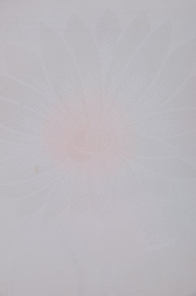 Women Undergarment / UF #820