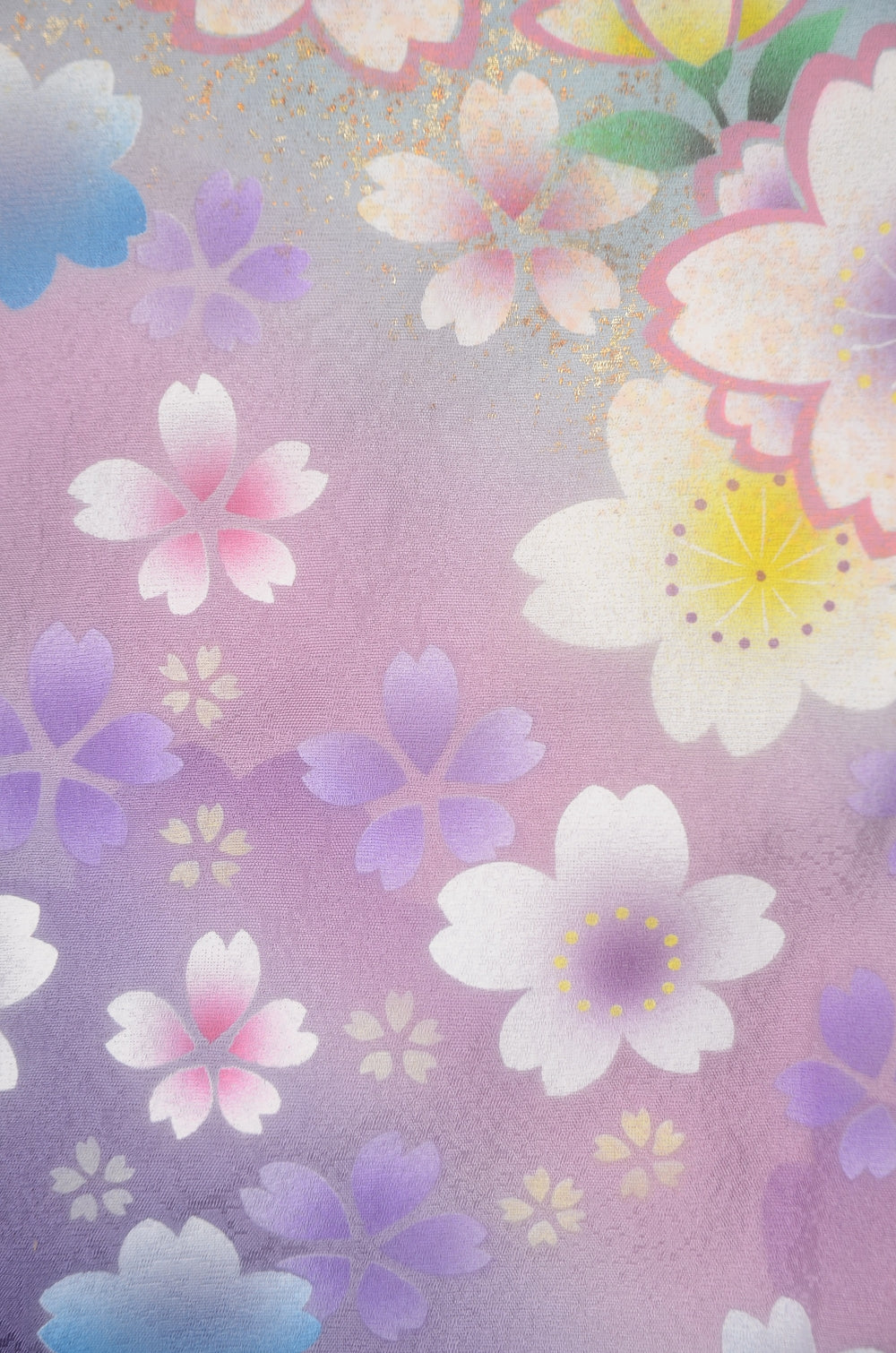 Long-sleeved kimono 6 items set / Furisode / FK#2-216