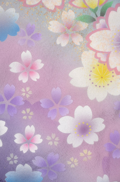 Long-sleeved kimono 6 items set / Furisode / FK#2-216