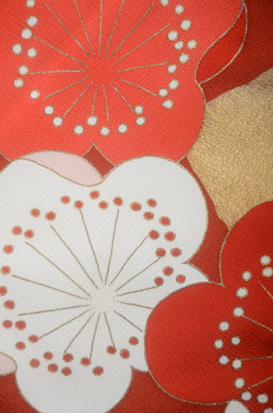 Long-sleeved kimono 6 items set / Furisode / FK#1-950