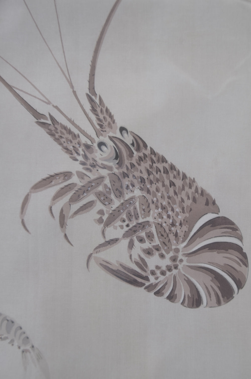 Men Jacket / M-Ha #1-583