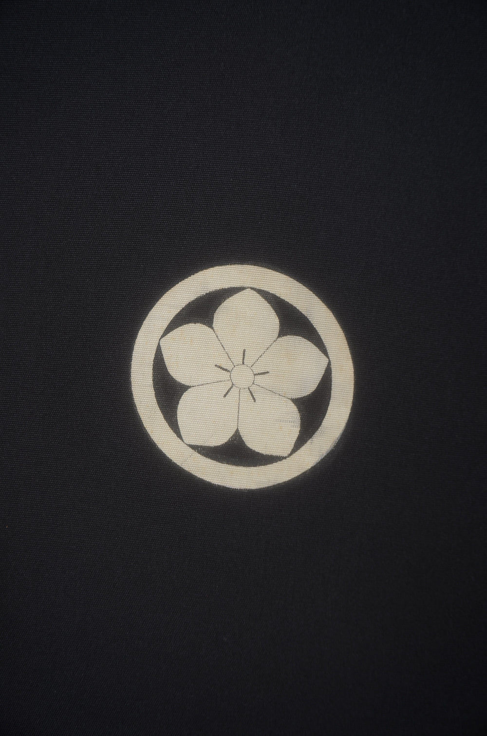 Jacket, kimono, hakama set / JKH #1-523