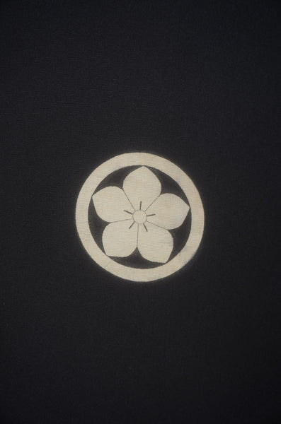 Jacket, kimono, hakama set / JKH #1-523
