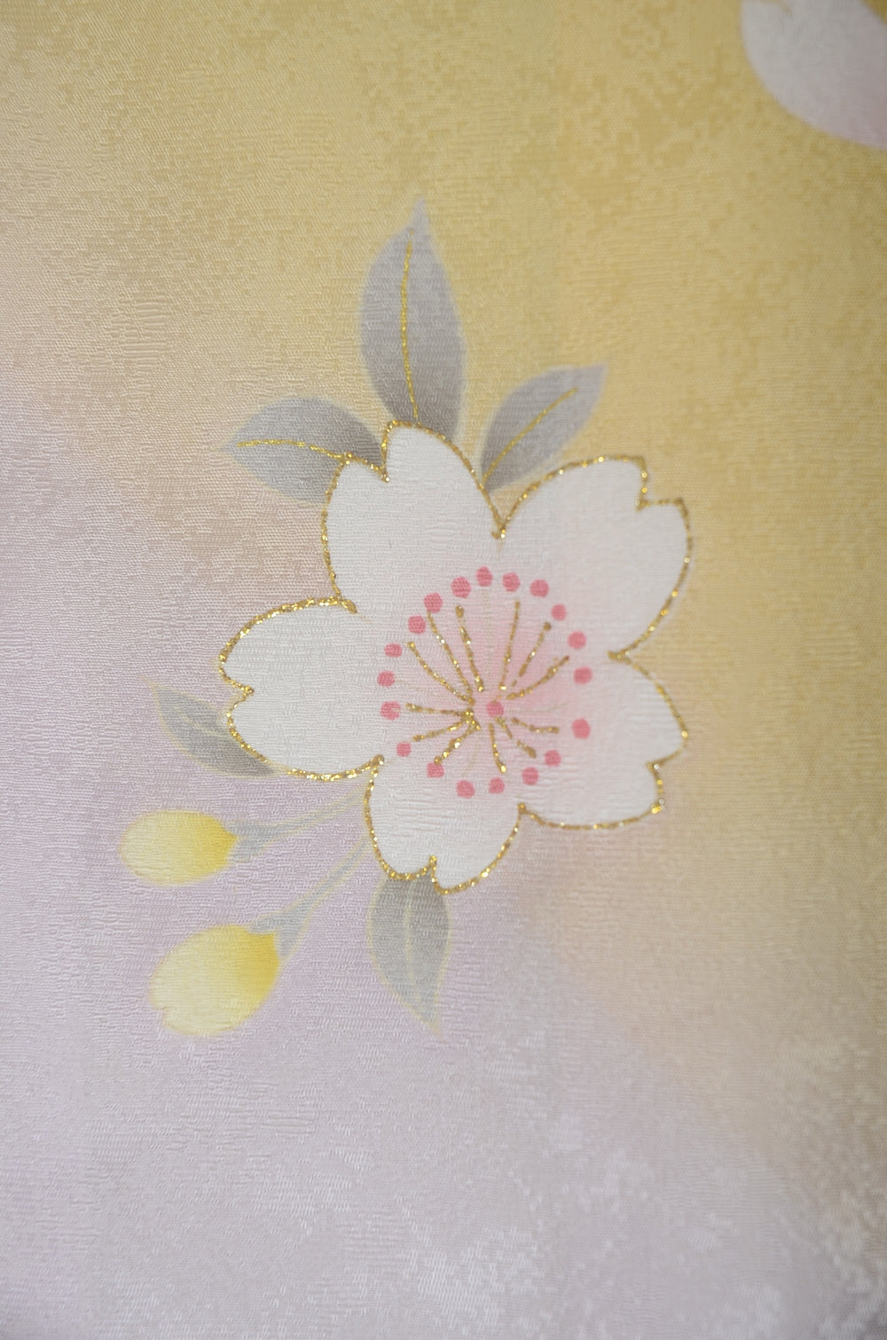 Long-sleeved kimono / Furisode / FK#2-038