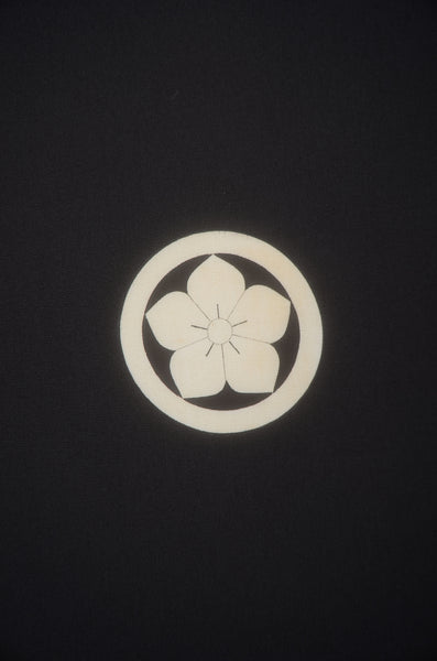 Jacket, kimono, hakama set / JKH #1-527