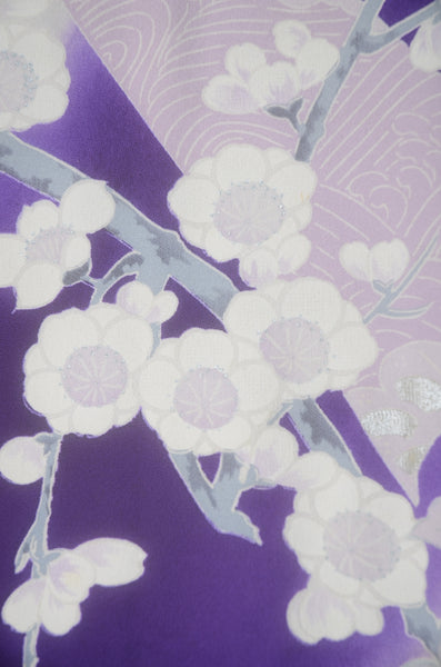 Long-sleeved kimono 6 items set / Furisode / FK#2-296