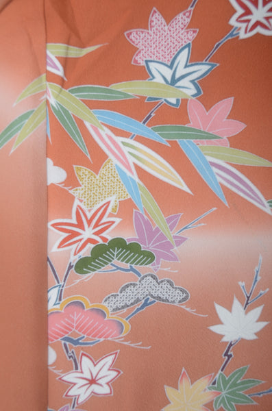 Japanese kimono 6 items set / TK #2-373